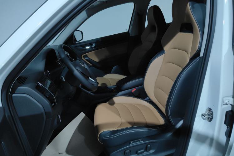 Used Skoda Kodiaq GT 2019 TSI330 Two-Wheel-Drive Luxury Edition China VI Standard Left Front Seat