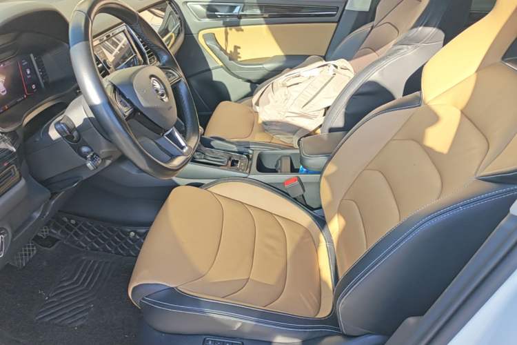 Used Skoda Kodiaq GT 2019 TSI330 Two-Wheel-Drive Luxury Edition China VI Standard Left Front Seat