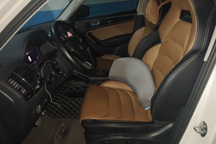 Used Skoda Kodiaq GT 2019 TSI330 Two-Wheel-Drive Luxury Edition China VI Standard Left Front Seat