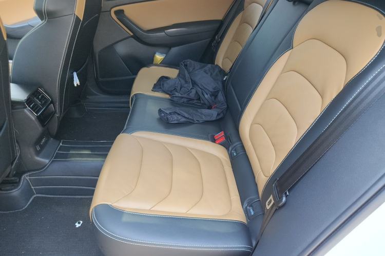 Used Skoda Kodiaq GT 2019 TSI330 Two-Wheel-Drive Luxury Edition China VI Standard Left Rear Seat