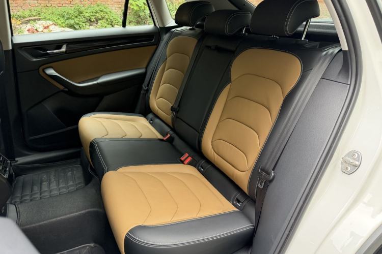 Used Skoda Kodiaq GT 2019 TSI330 Two-Wheel-Drive Luxury Edition China VI Standard Left Rear Seat