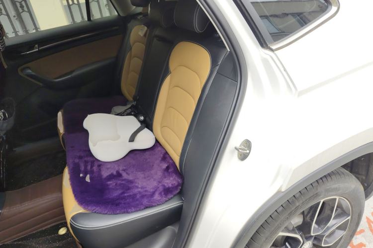 Used Skoda Kodiaq GT 2019 TSI330 Two-Wheel-Drive Luxury Edition China VI Standard Left Rear Seat