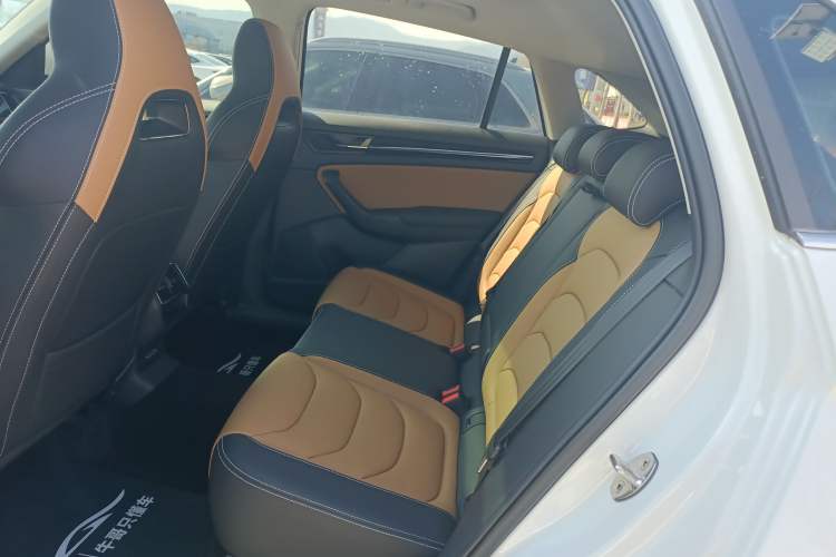 Used Skoda Kodiaq GT 2019 TSI330 Two-Wheel-Drive Luxury Edition China VI Standard Left Rear Seat