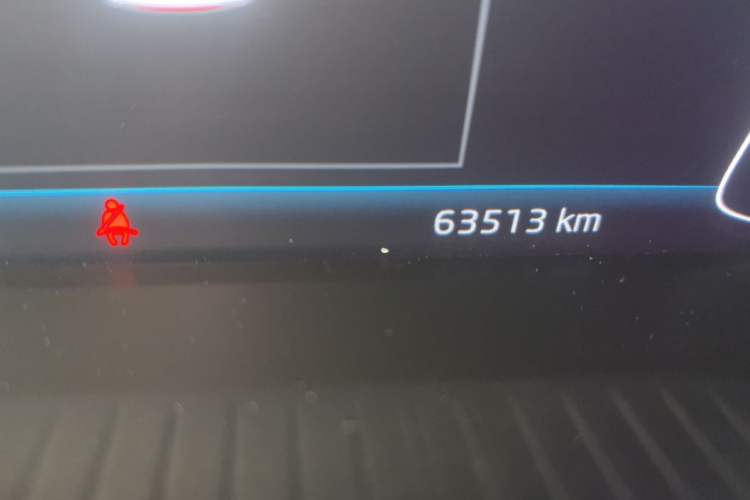 Used Skoda Kodiaq GT 2019 TSI330 Two-Wheel-Drive Luxury Edition China VI Standard Odometer Close Up