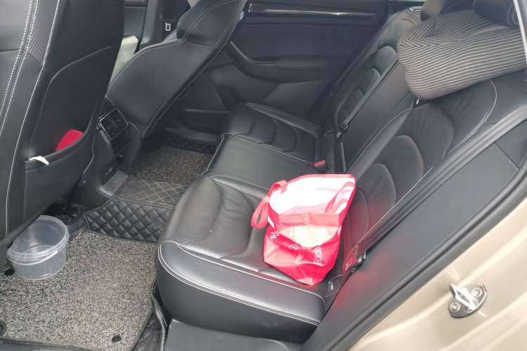 Used Skoda Kodiaq GT 2019 TSI380 4x4 Luxury Edition China VI Standard Left Rear Seat