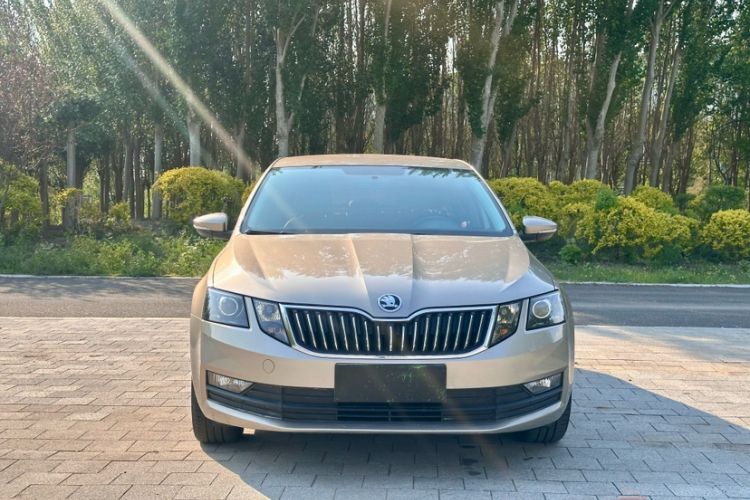 Used Skoda Octavia 2019 TSI230 DSG Smart & Comfort Edition China VI Standard Exterior 1