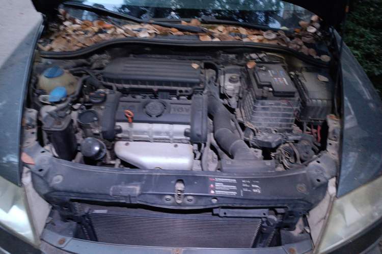 Used Skoda Octavia 2009 1.6L Automatic Elegance Edition Engine Bay