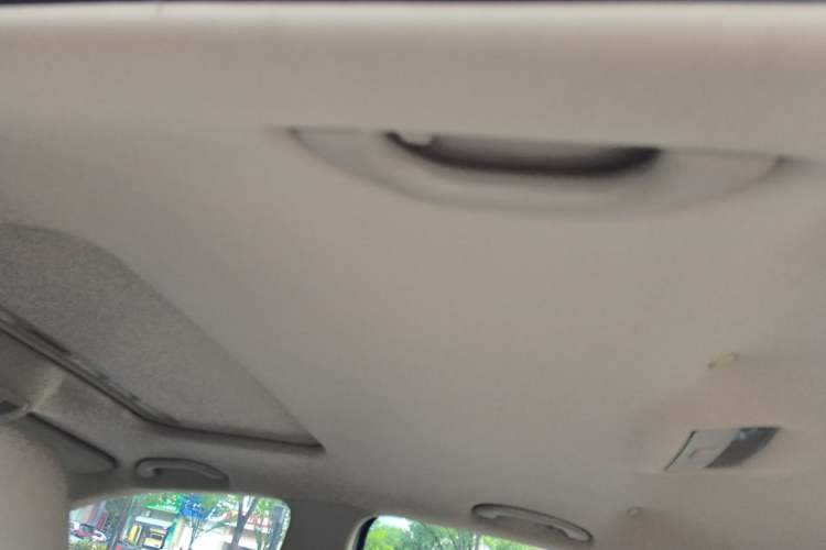 Used Skoda Octavia 2009 2.0L Automatic Elegance Version Headliner