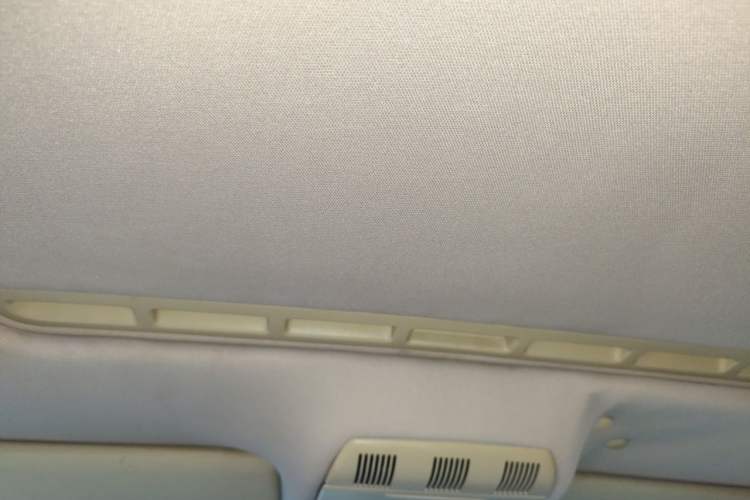 Used Skoda Octavia 2009 1.6L Automatic Elegance Edition Headliner