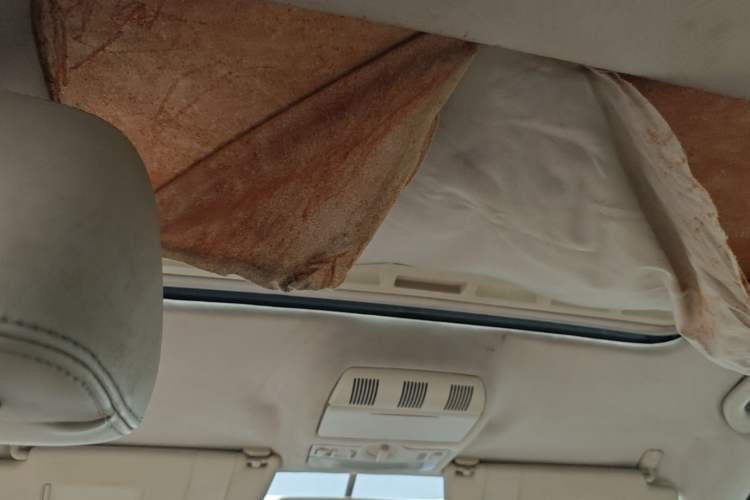 Used Skoda Octavia 2010 1.8TSI DSG Yijun Edition Headliner