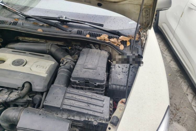 Used Skoda Octavia 2010 2.0 TSI RS Engine Bay Left