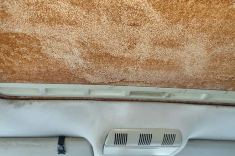 Used Skoda Octavia 2010 1.6L Automatic Yijun Edition Headliner