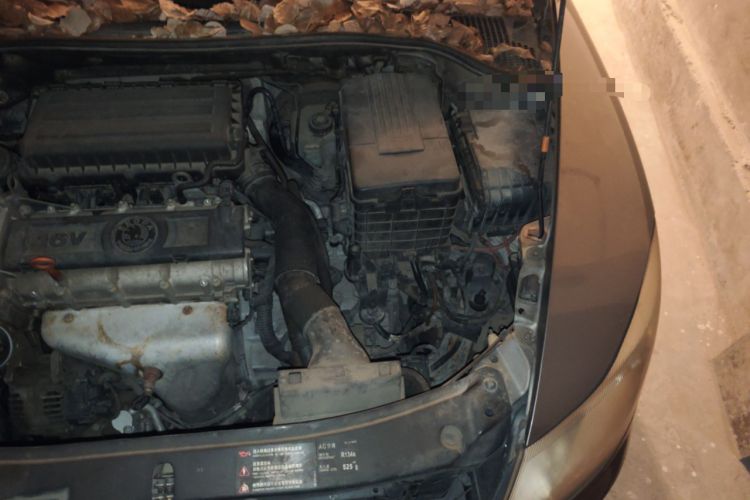 Used Skoda Octavia 2012 1.6L Automatic Yijie Edition Engine Bay Left