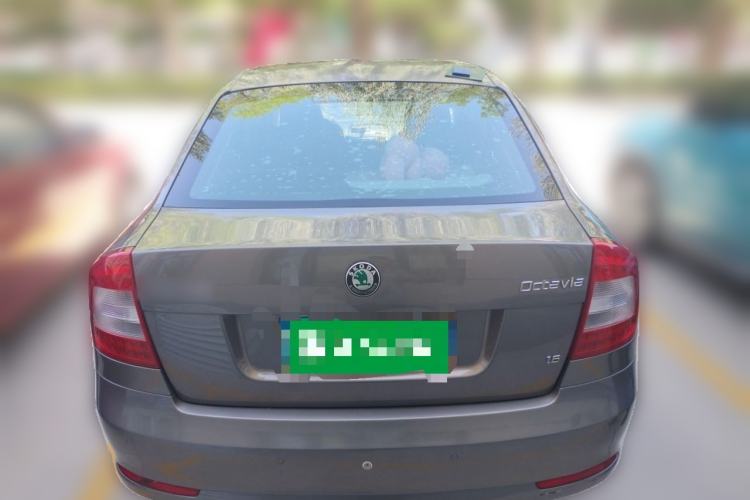Used Skoda Octavia 2012 1.6L Automatic Yijie Edition Rear
