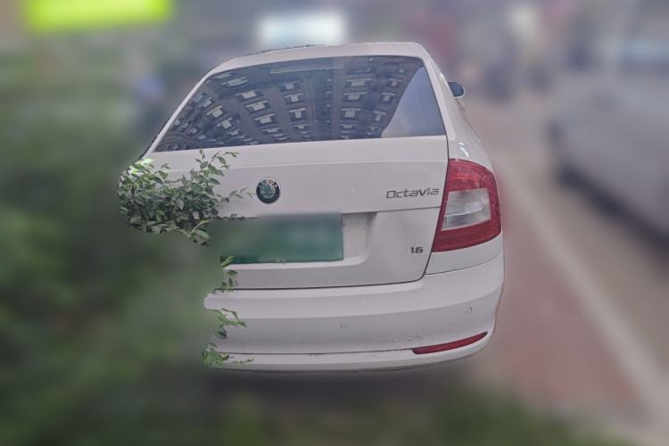 Used Skoda Octavia 2012 1.6L Automatic Yijie Edition Rear