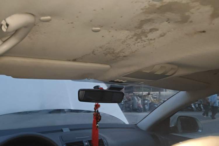Used Skoda Octavia 2013 1.6L Manual Eado Edition Headliner