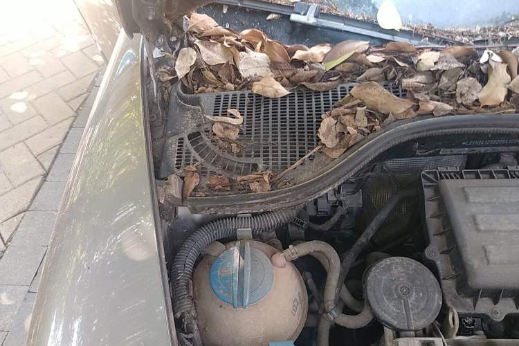 Used Skoda Octavia 2013 1.6L Automatic Yijie Edition Engine Bay Right