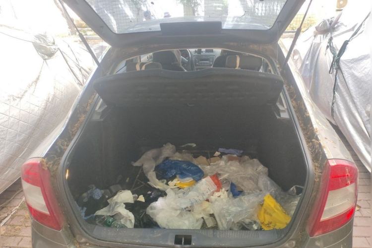 Used Skoda Octavia 2013 1.6L Automatic Yijie Edition Trunk