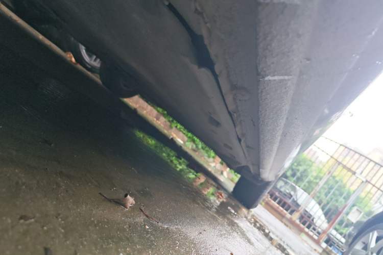 Used Skoda Octavia 2013 1.6L Manual Eado Edition Chassis Front Left