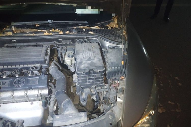 Used Skoda Octavia 2013 1.6L Automatic Yijun Edition Engine Bay Left