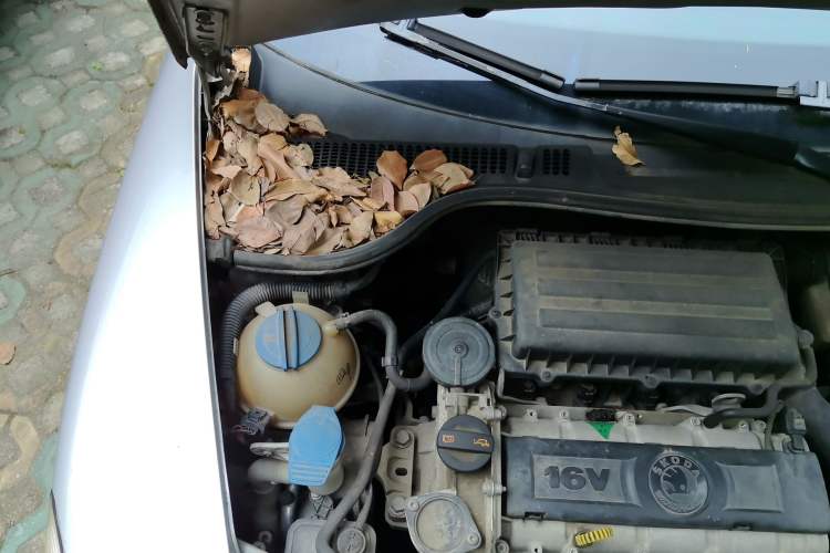 Used Skoda Octavia 2013 1.6L Manual Yijun Edition Engine Bay Right