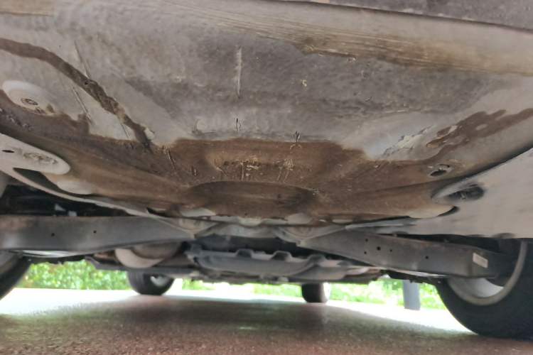 Used Skoda Octavia 2014 1.6L Manual Yijun Edition Chassis Rear