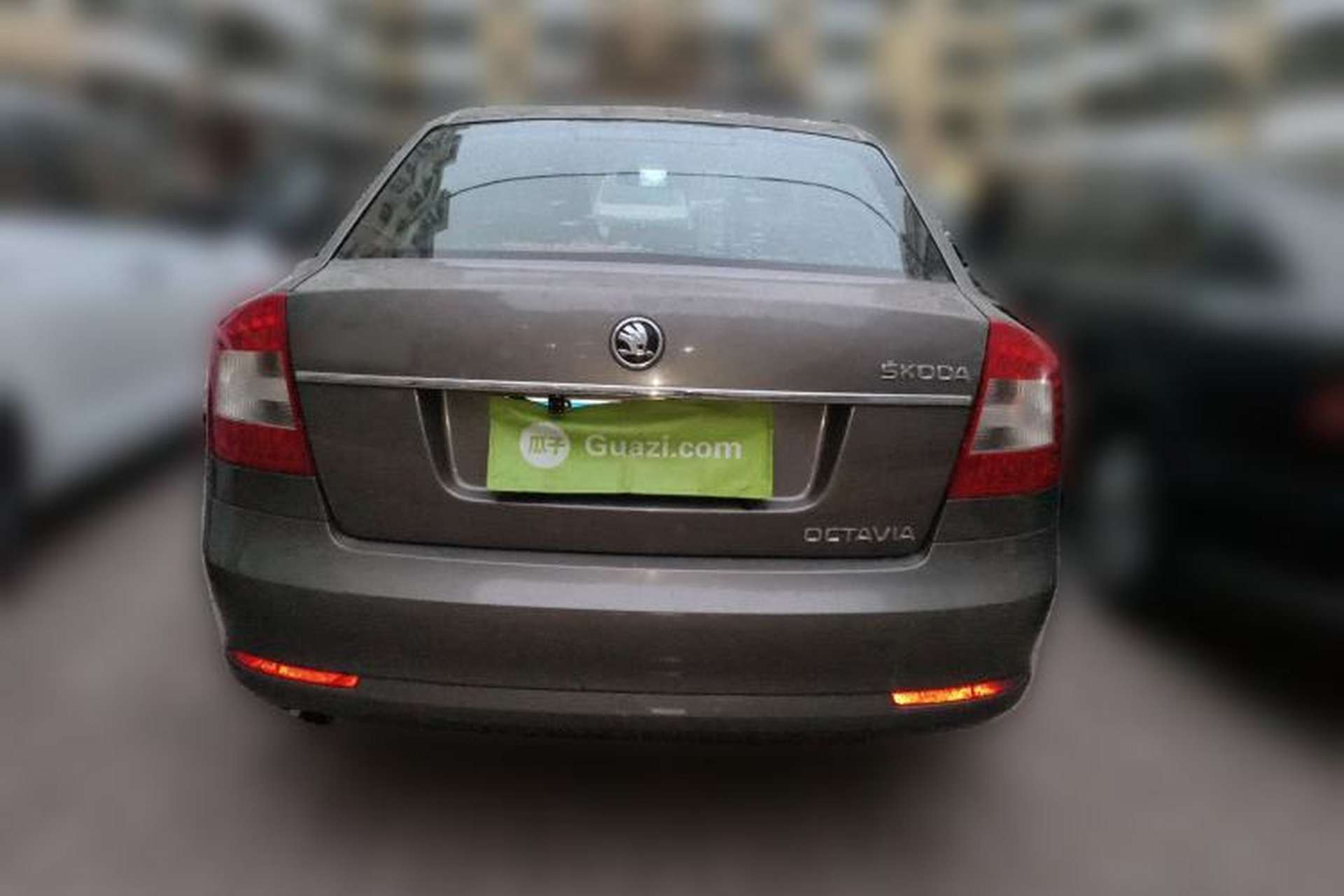 Used Skoda Octavia 2014 1.6L Automatic Yijun Edition Rear