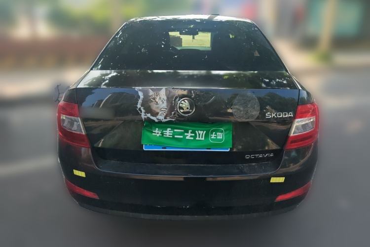 Used Skoda Octavia 2015 1.6L Manual Eado Edition Rear