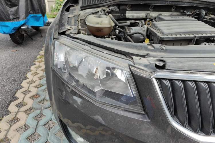 Used Skoda Octavia 2015 1.6L Automatic Yijun Edition Right Front Headlight