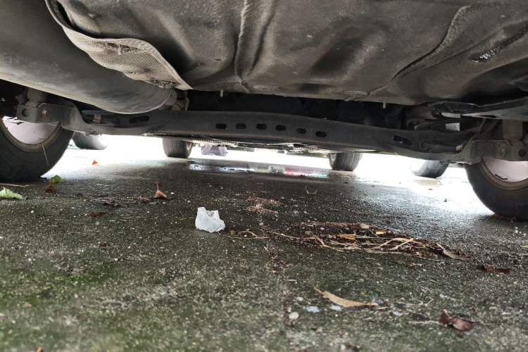Used Skoda Octavia 2015 1.6L Automatic Yijun Edition Chassis Rear