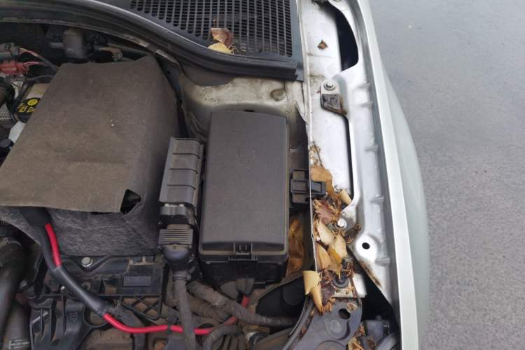 Used Skoda Octavia 2015 1.6L Automatic Eado Edition Engine Bay Left