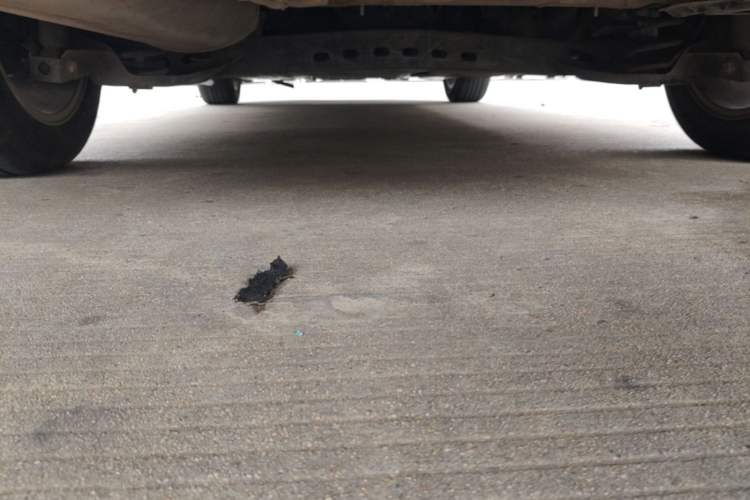 Used Skoda Octavia 2015 1.6L Manual Yijie Edition Chassis Rear