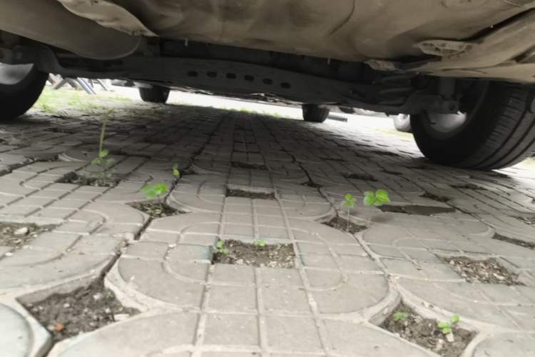 Used Skoda Octavia 2015 1.6L Automatic Yijie Edition Chassis Rear