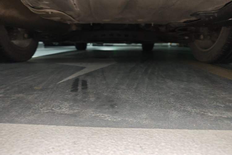 Used Skoda Octavia 2015 1.6L Automatic Yijie Edition Chassis Rear