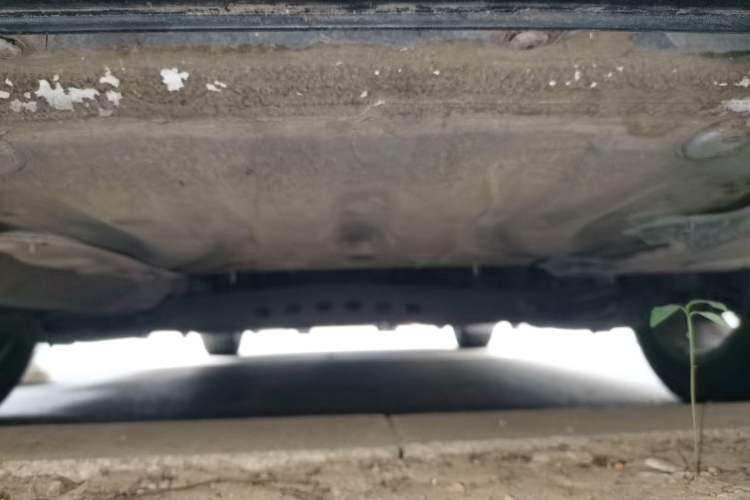 Used Skoda Octavia 2015 1.6L Automatic Yijun Edition Chassis Rear
