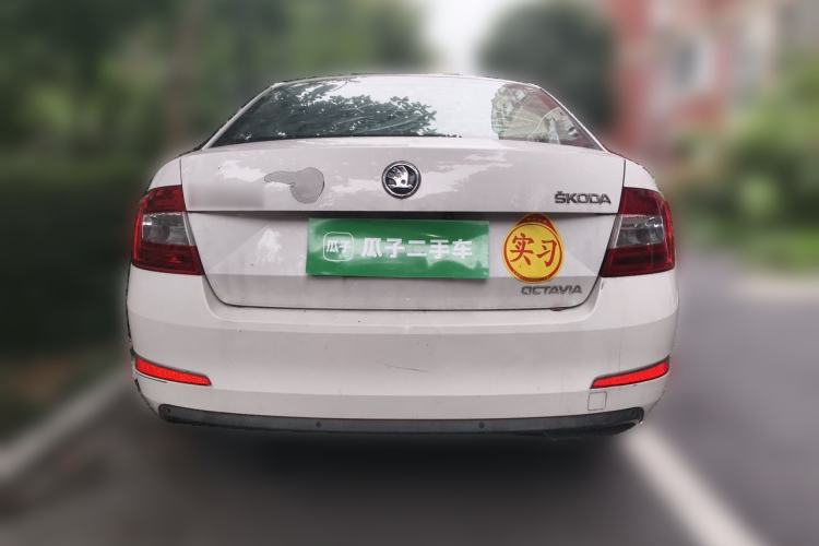 Used Skoda Octavia 2015 1.6L Automatic Yijie Edition Rear