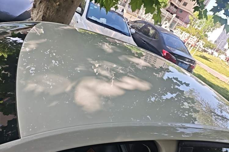 Used Skoda Octavia 2015 1.6L Manual Yijie Edition Roof