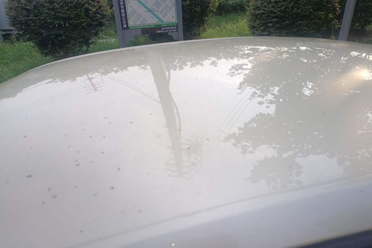 Used Skoda Octavia 2015 1.6L Automatic Eado Edition Roof
