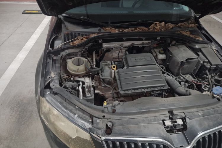 Used Skoda Octavia 2016 1.6L Automatic Chuanxing Edition Engine Bay Right