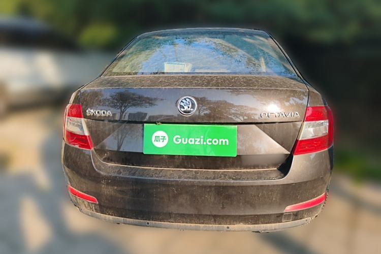 Used Skoda Octavia 2016 1.6L Automatic Chuanxing Edition Rear