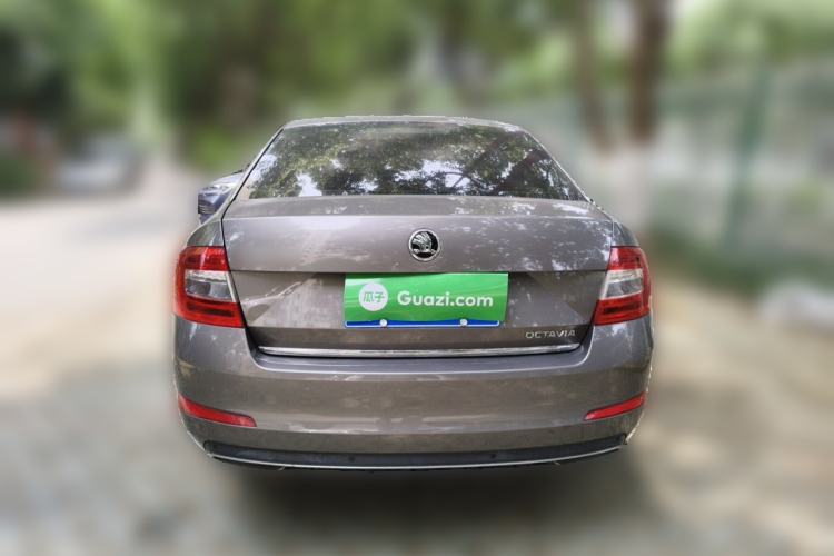 Used Skoda Octavia 2016 1.6L Automatic Chuanxing Edition Rear