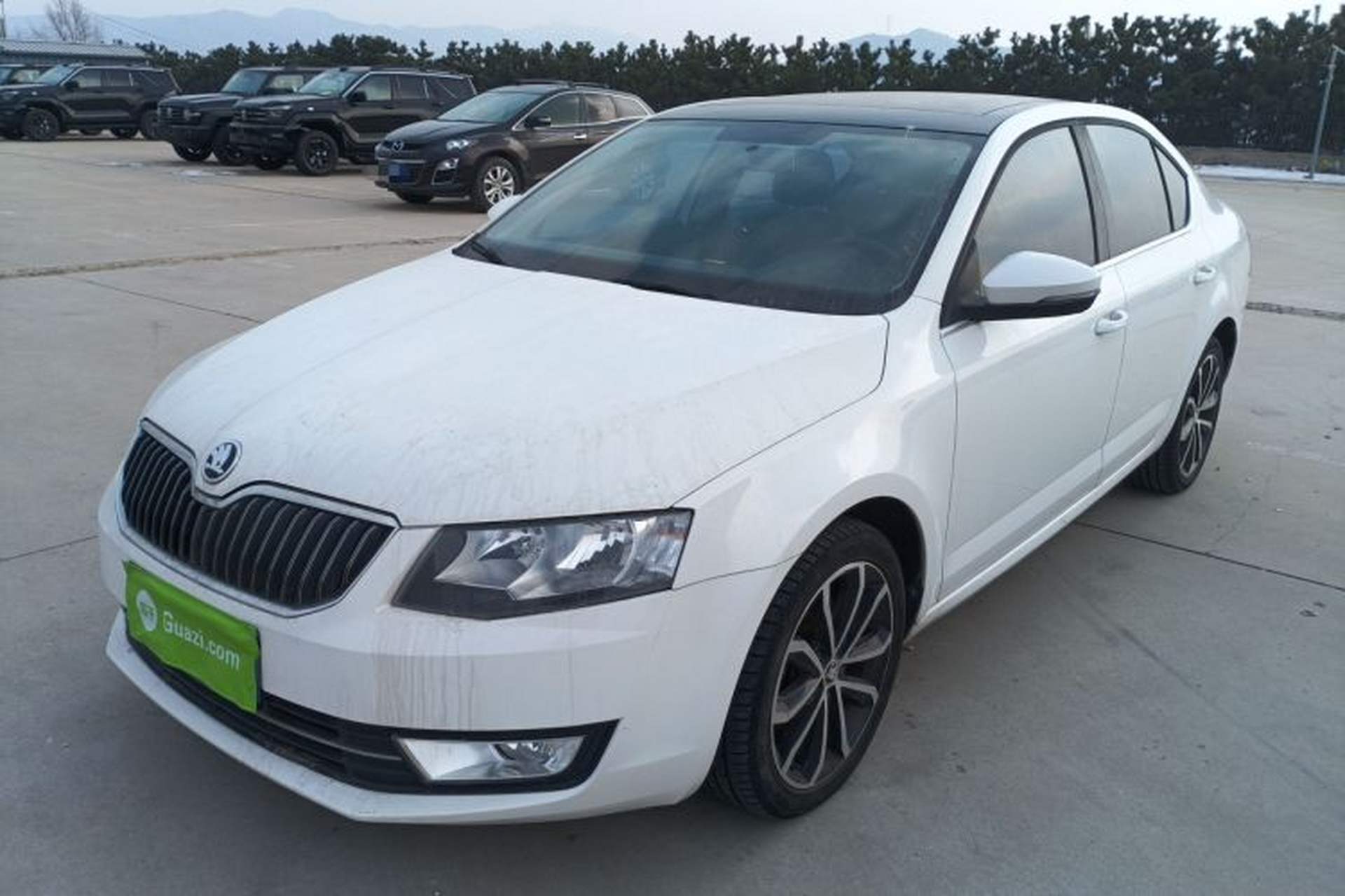 Used Skoda Octavia 2016 1.6L Automatic Smart Drive Edition Front Left 45 Deg