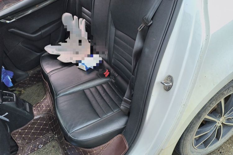 Used Skoda Octavia 2016 1.6L Automatic Smart Drive Edition Left Rear Seat