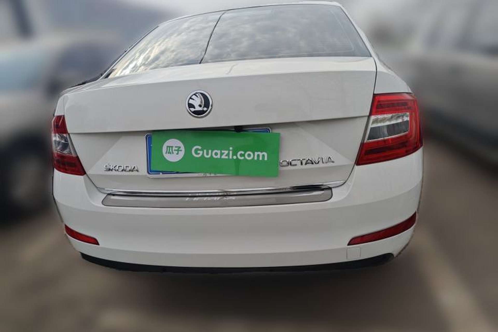 Used Skoda Octavia 2016 1.6L Automatic Chuanxing Edition Rear