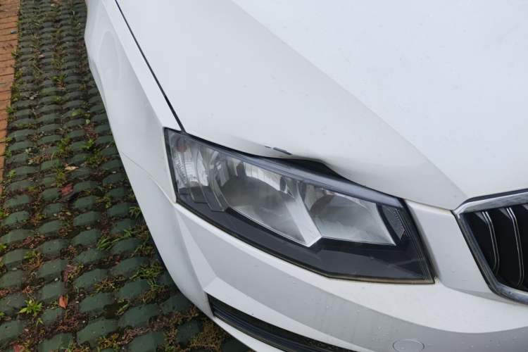 Used Skoda Octavia 2016 1.6L Manual Trend Edition Right Front Headlight