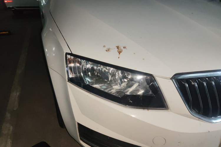 Used Skoda Octavia 2016 1.6L Automatic Smart Drive Edition Right Front Headlight
