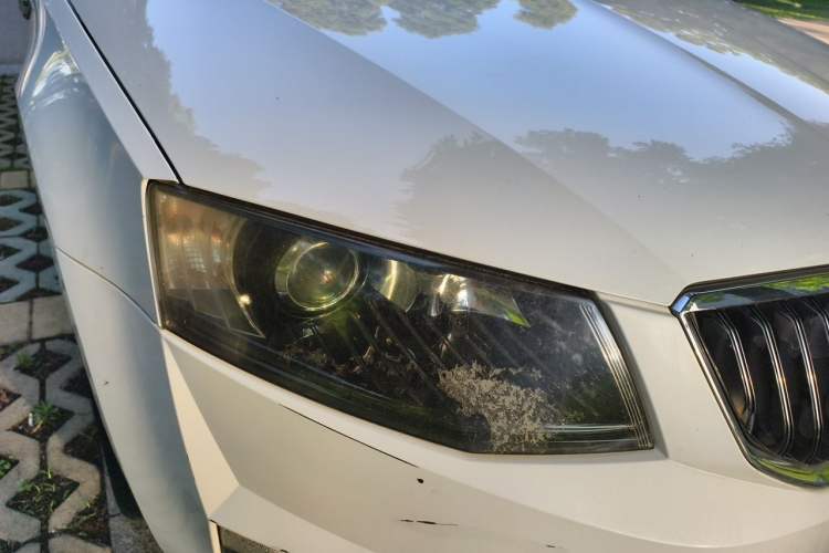 Used Skoda Octavia 2016 1.6L Automatic Smart Drive Edition Right Front Headlight