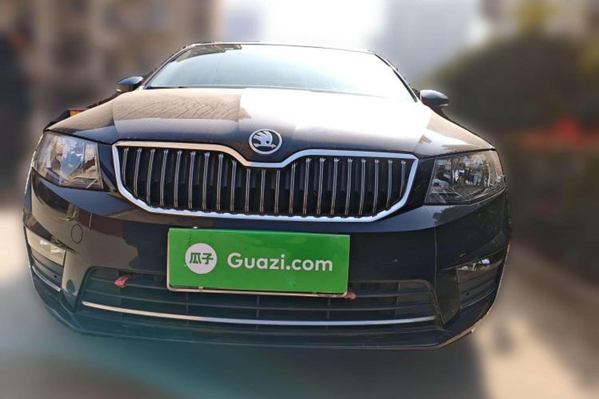 Used Skoda Octavia 2017 1.6L Manual Trend Edition Front