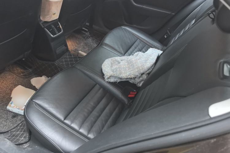 Used Skoda Octavia 2017 1.6L Automatic Smart Drive Edition Left Rear Seat