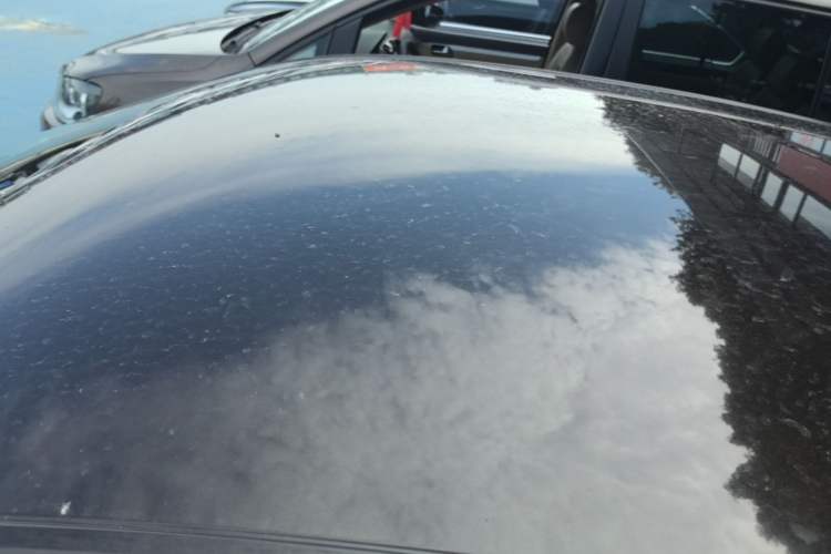 Used Skoda Octavia 2017 1.6L Manual Trend Edition Roof